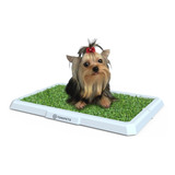 Bandeja Sanitaria Perros Hembra Mini Tonipets 48x33