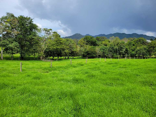 Venta Lote En Unidad Cerrada El Retiro Sector La Maria - Imagen 4