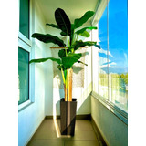 Planta Artificial Banano 180 Cm. Premium / Arbusto Real
