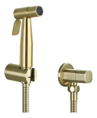 Trigger Hygienic Stainless Steel Shower Shower Gold 1.2m