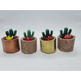 9 Velas Cactus Suculentas Decorativas Paquete 9 Piezas