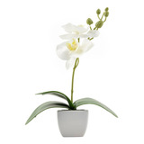 Planta Artificial Orquidea En Maceta 22,5 Cm Afj