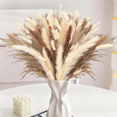 Decoración De Hierba Ramo Pampas Seca Natural Bohemio 130pcs | MercadoLibre