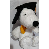 Peluche Snoopy Edicion Graduacion 2022 Souenir Toy Raro
