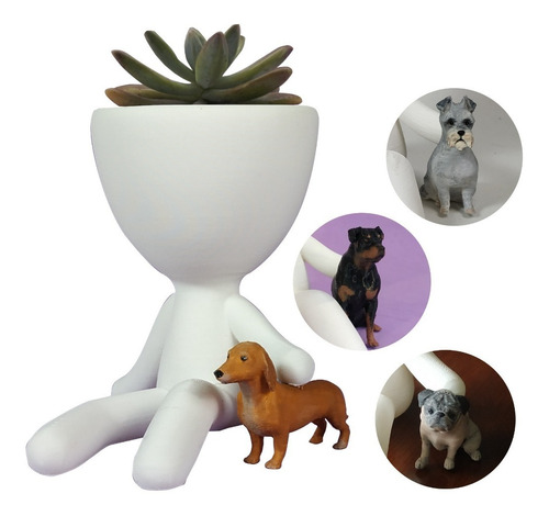Matera Decorativa Personalizable Con 6 Mascotas Y Suculenta