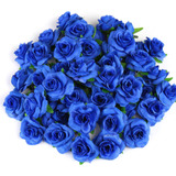 50 Flores Artificiales Kesoto Rosas Azul 4cm
