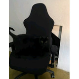 Capa De Cadeira Gamer Anti Gato Fotos Reais Do Produto