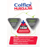 Colflex Muscular Hmb Laranja Colágeno Hidrolisado Suplemento