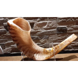 Shofar Cuerno Carnero Certificado Kosher 50-55cm- Fotos Real