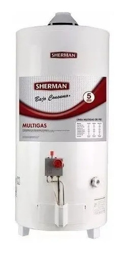 Termotanque Sherman (rheem) 80 Litros De Pie G.n.