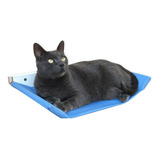 Cama Para Gato Suspensa Rede Parede Caminha Pet Várias Cores