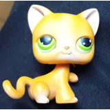 Littlest Pet Shop Shorthair Cat