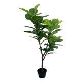 Árvore Artificial Ficus Lyrata Planta Real Toque 1.70 Metros