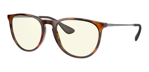 Lentes De Sol Ray - Ban Erika Classic Proteccion Uv