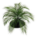 1 Buque De Folhagem De Palmeira Areca Cada Buque Tem 9 Folhas Planta Artificial Enfeite Para Sala