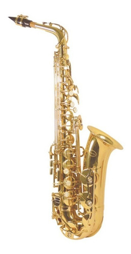 Saxofon Alto Conductor Dorado Con Estuche Y Accesorios Nuevo