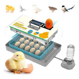 15 Incubadoras De Huevos Para Aves De Corral Y Codornices