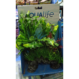 Planta Artificial Hidrolife Conjunto 30 Cm Acuario Pecera