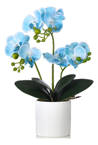 Fulehouzz Flores De Orquídeas Artificiales Con Jarrón Phalae