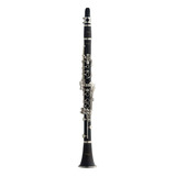 Clarinete Stagg Wscl110 Bb, Bhm, 17 Llaves Con Estuche