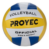 Pelota Voley Cuero Sintetico Liviana Chicos N5