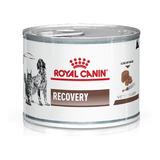 Royal Canin Recovery Perro Y Gato Lata X 195gr X 12 Unidades