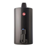 Termotanque Rheem 80 Litros De Colgar Gas Carga Inf