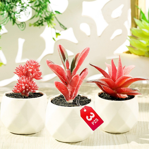 3 Pzs Planta Artificial Suculenta Decorativa Maceta Cerámica