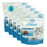 Snack Hana Healthy Life Dental Care Gatos Adultos 60g Kit 5 