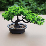 Árbol Bonsái Artificial Tipo Cascada Media Decoración Hogar