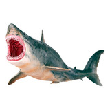 Megalodon. Tiburon. 25.5 Cms. Cenozoico. Envio Gratis.