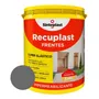 Recuplast Frentes Impermeabilizante 20lt Color Gris Cemento | Mismo precio en cuotas
