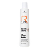 Bonacure R-two Champú 250ml - mL a $342