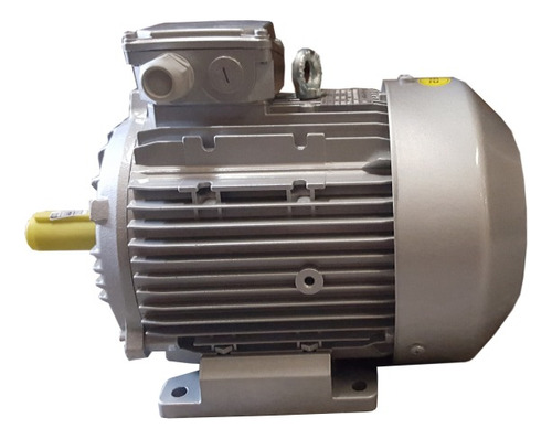 Motor Eléctrico E-storm 5.5hp Trifásico 2850 Rpm