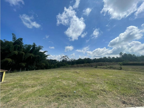 Venta Lotes Condominio Campestre Cerritos - La Virginia Pereira