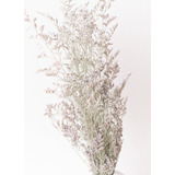 Ramo Caspia - Ramo Flores Secas - Flores Secas Decoración