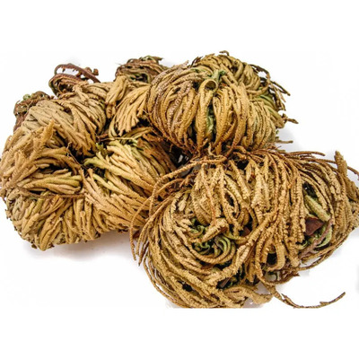 Doradilla Rosa De Jerico 3 Kg 100% Natural  | Meses sin interés