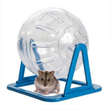 Globo Para Hamster Brinquedo Bola Acrílico Com Suporte 12 Cm