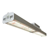 Master Led Jx200 Cree Cultivo Indoor Gs Iluminaciones 120x60