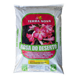 3kg Substrato Rosa Do Deserto Casca De Pinus Vermiculita Etc