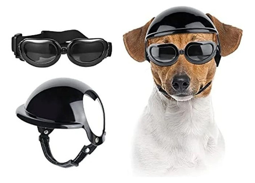 Casco + Gafas Perro Pequeño