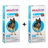 Bravecto 20a40kg Comprimido Anti Carrapato 6 Meses Kit 02