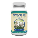 Sure Grow Suplemento Alimenticio Para Perros X 100 Tabletas 