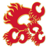 Calgary Flames Team Nhl National Hockey League Sticker ...