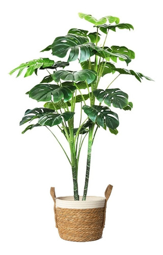 Planta  Artificial Interior Grande Costilla  Adán 1.35 Mts 