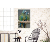 Vinilo Decorativo 60x90cm Loro Guacamayo Colores M7