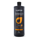 Escova Progressiva Sem Formol Shield Plancton 1 Litro Gloss