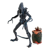 Aliens Xenomorfo Ultimate Neca 20 Cm Com Eggs E Facehuggers