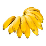 3 Mudas De Banana Maçã. Prontas Para O Plantio
