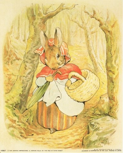 Beatrix Potter - El Cuento De Peter Rabbit Decoración De La